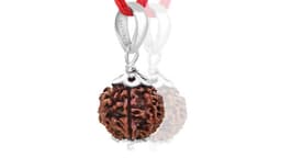 Rudraksha